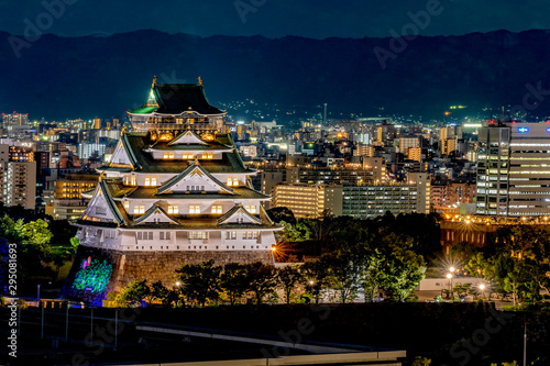                  osaka castle Osaka Night                     
