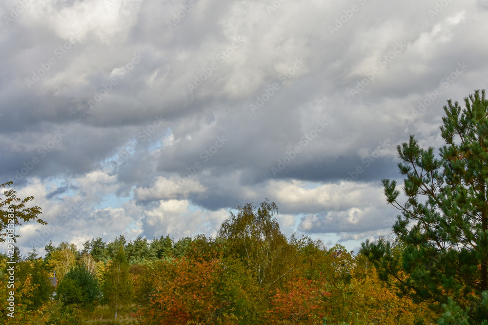 Fototapeta premium Beautiful flowing clouds in the blue sky on an autumn day.
