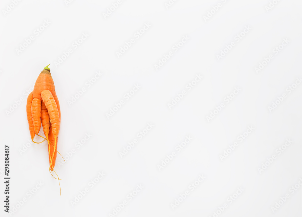 Ugly carrots on a white background. Ugly food, copy space.