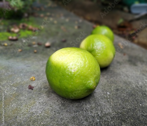 lemons and limes in garden