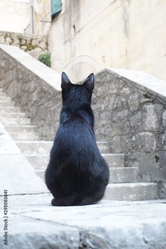 black cat sits on the railing of a stone staircase black cat sits on the railing of a stone staircase