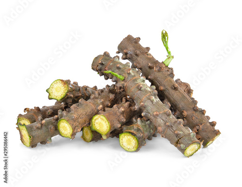 Tinospora cordifolia herb isolated on white background.