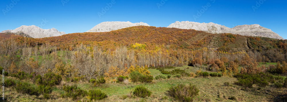 Panoramic view with mountain landscape of limestone rock after an autumn forest and green meadows 