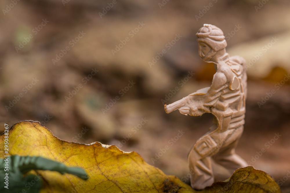 Obraz premium Soldadinhos