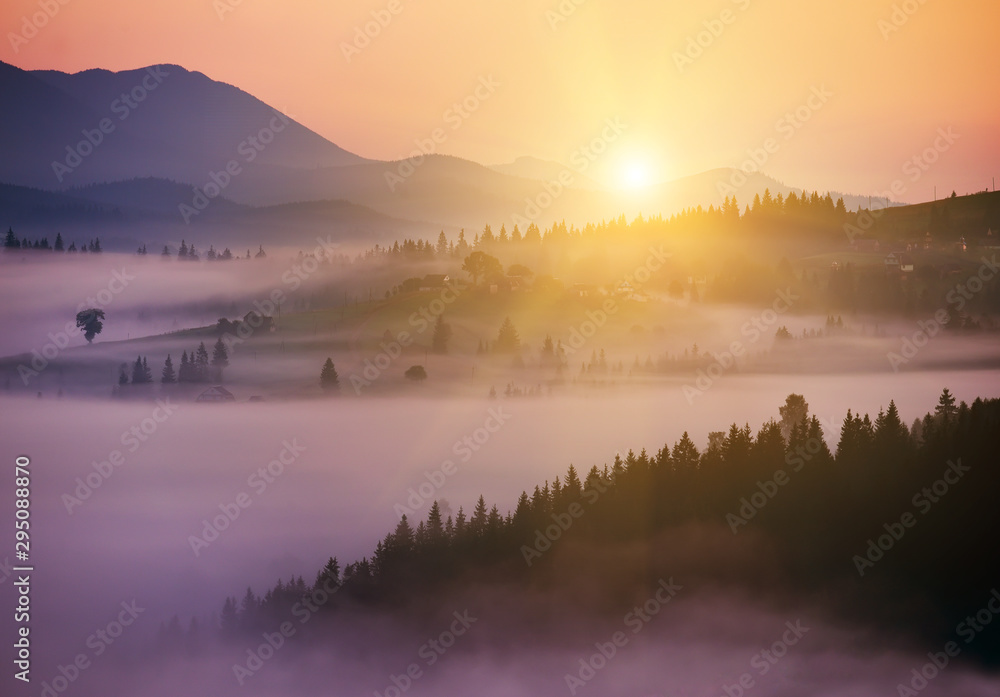 Beautiful sunrise in the mountains. The rays of the final light through the coniferous trees in the forest on the mountains. incredibly beautiful light.