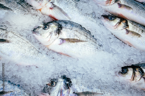 Canvas Print Dorado fish on ice fresh frozen fish sale