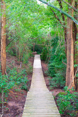 Picture of the path to study and learn about nature