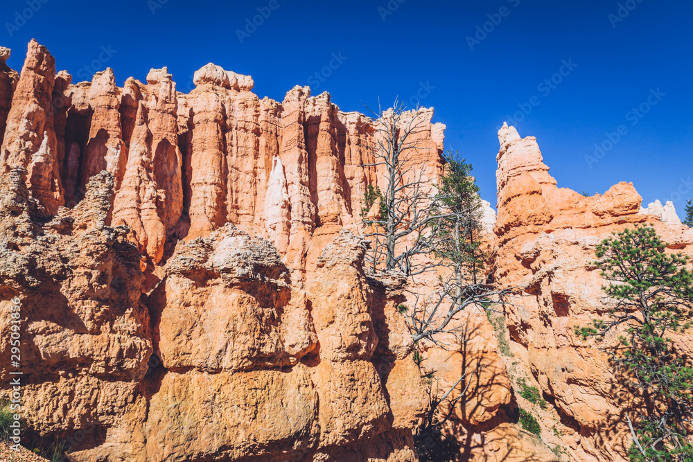 Bryce Canyon landscape, Utah, USA