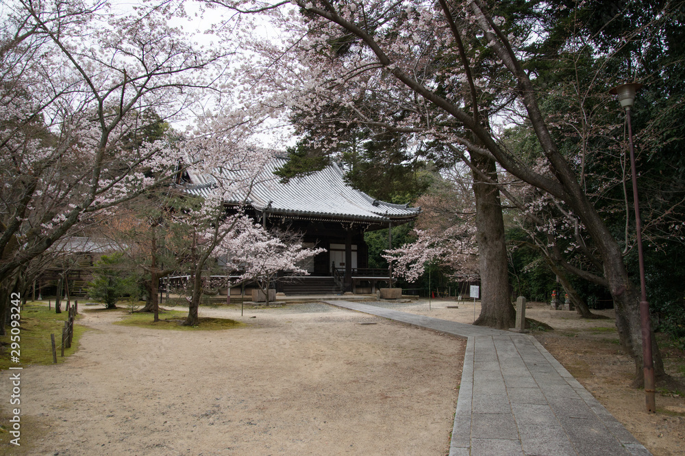 光明寺