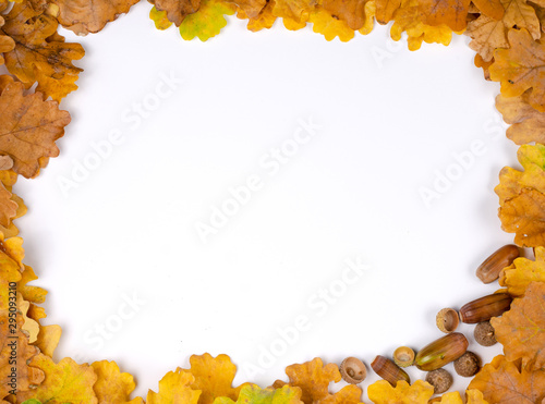 Autumn composition background . Square frame made with rusty dried oak leaves and acorns with center blank for text . Top view, copy space.