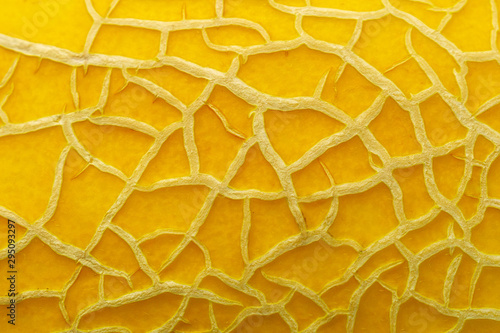 melon texture background close up macro