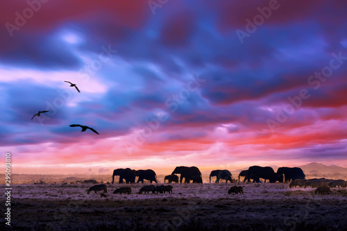 Amazing african dramatic sunset with walking elephants in savannah. Artistic fantastic safari landscape in Masai Mara National Reserve  Kenya.