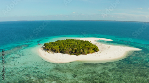 Tropical landscape: small island with beautiful beach, palm trees by turquoise water view from above. Patawan island with sandy beach. Summer and travel vacation concept.