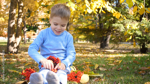 A child in the autumn Park plays and laughs merrily, he plays with yellow leaves and Rowan berries. Sunny autumn day in the Park. Outdoor entertainment