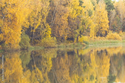 Nature river shore in gold autumn in Moscow region in october