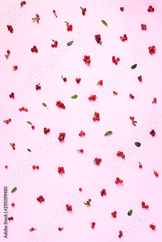 Colourful bright pattern made of natural berries on pink background. Top view. Summer red lingonberry pattern