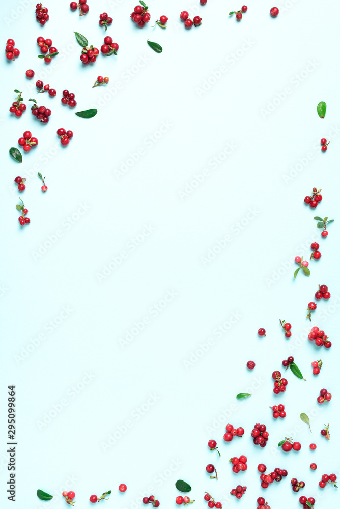 Colourful bright pattern made of natural berries on blue background. Top view. Summer red lingonberry pattern