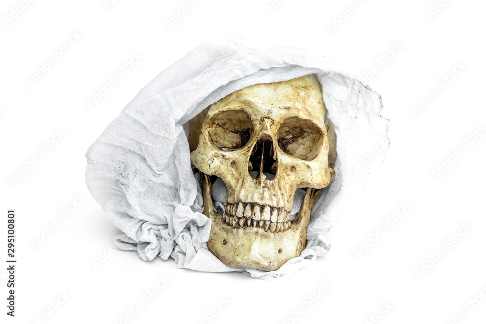 Fototapeta premium Skull with a veil isolated on white background.