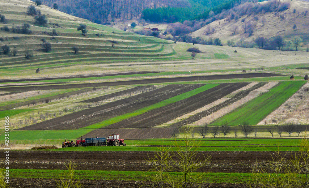 Agricultural fields near the rural village of Coltesti, Alba County, Transylvania region, Romania. 