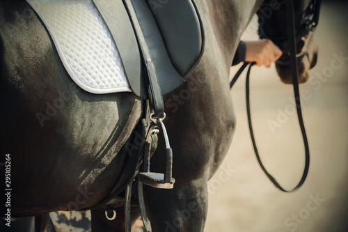 The black horse, which is held by the bridle, wears a metal stirrup, a white saddlecloth and a leather saddle, illuminated by bright sunlight.