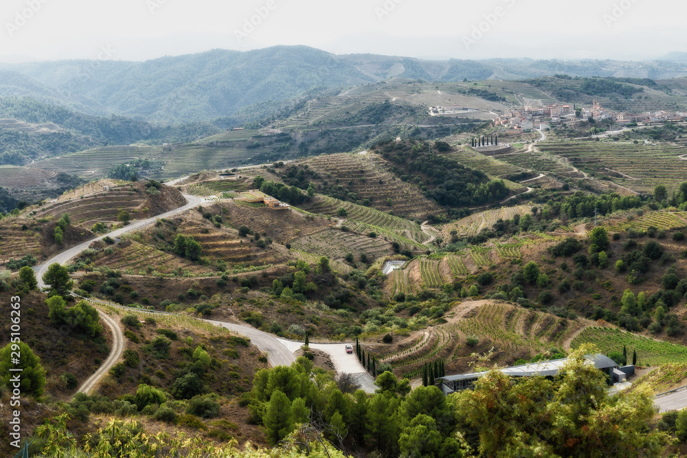 Fototapeta premium Vineyards and cellar landscape in Gratallops, Spain