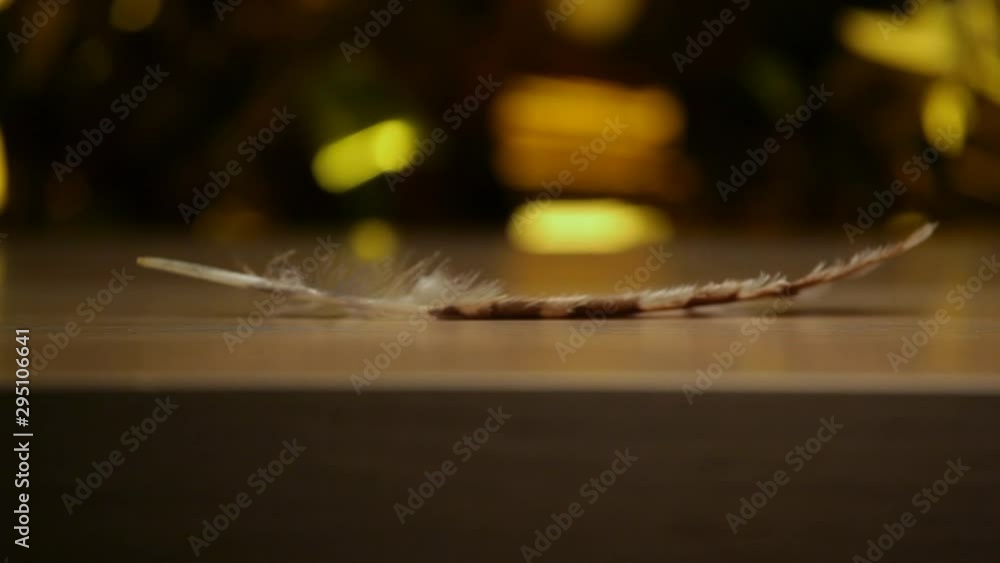 feather wind wooden table background 
