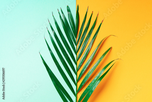 Fototapeta Liść palmowy na modnym żółtym i zielonym tle. Widok z góry. Skopiuj miejsce Minimalizm mody. Koncepcja lato