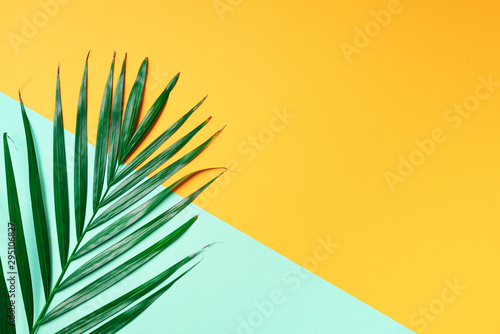 Palm leaf on trendy yellow and green background. Top view. Copy space. Fashion minimalism. Summer concept