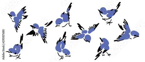 Colorful bird collection. Collection of cute hand drawn bird doodles. Black on white vector set