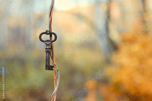 Vintage lost key hanging on a string on a tree branch on autumn nature background