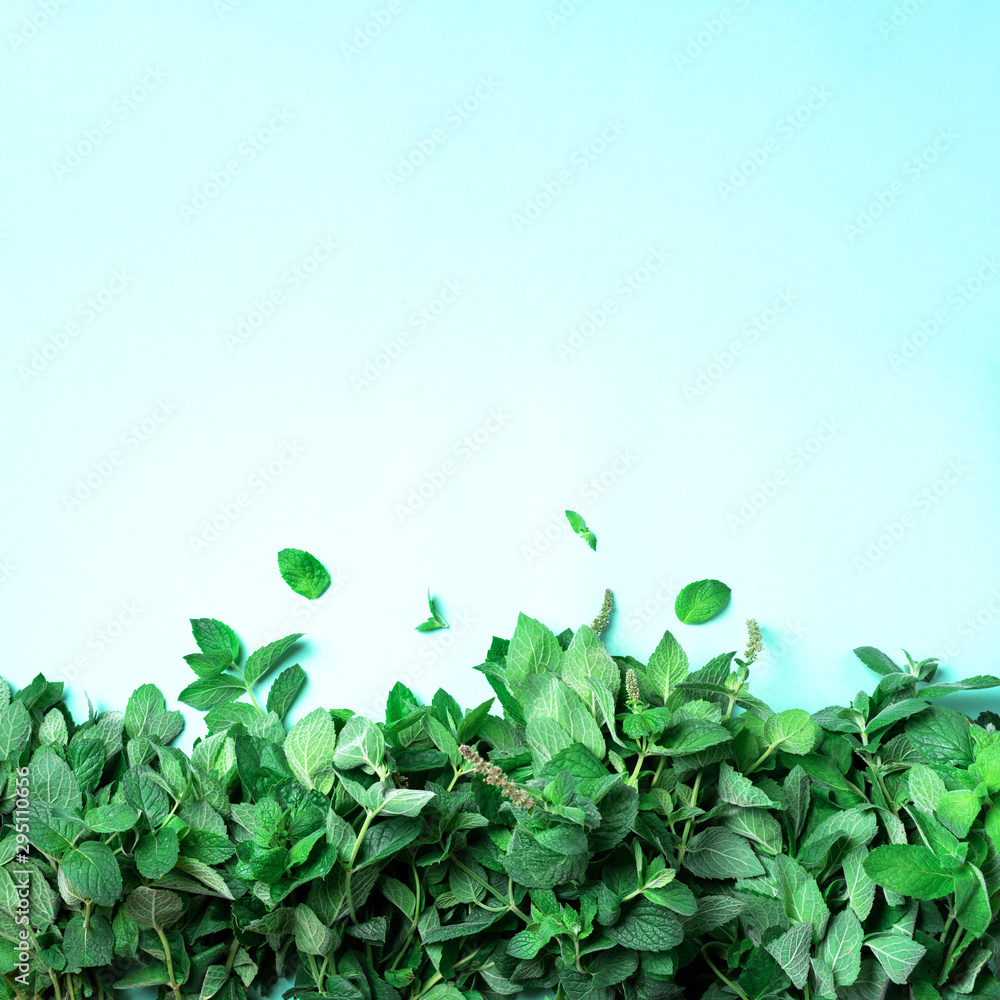 Fresh peppermint leaves on trendy green background. Top view. Copy space. Bunch of mint herbs Fresh peppermint leaves on trendy green background. Top view. Copy space. Bunch of mint herbs