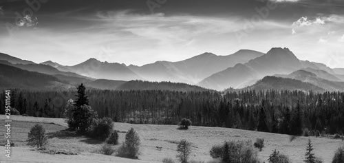 Fototapeta Naklejka Na Ścianę i Meble -  Panorama of Tatra Mountain Ridge in black and white