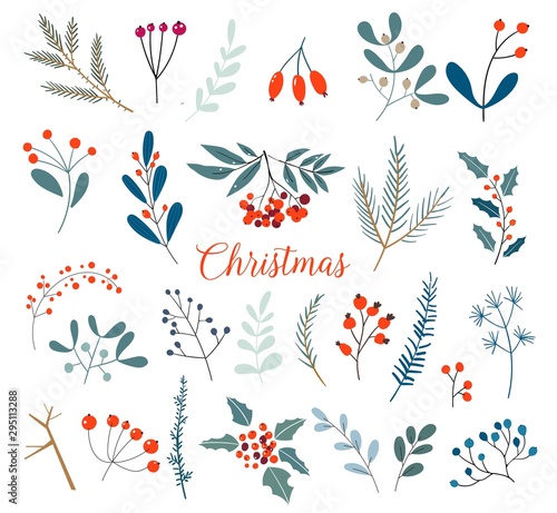 Christmas floral collection with winter decorative plants and flowers. Cute hand drawn in scandinavian style. Illustration of winter berries and Christmas branches.
