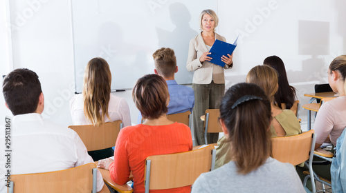 Female teacher lecturing to students © JackF