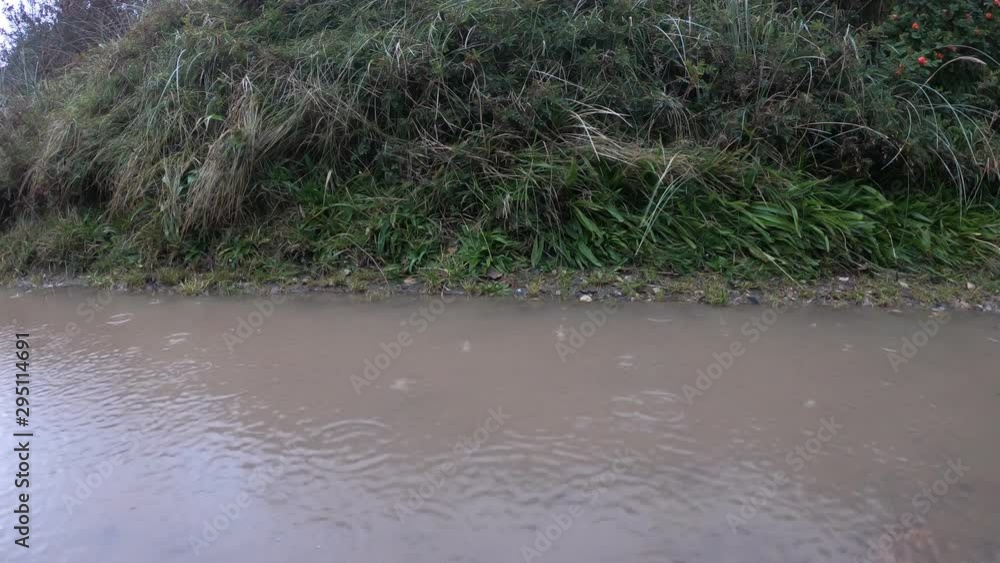 Regentropfen in einer Pfütze