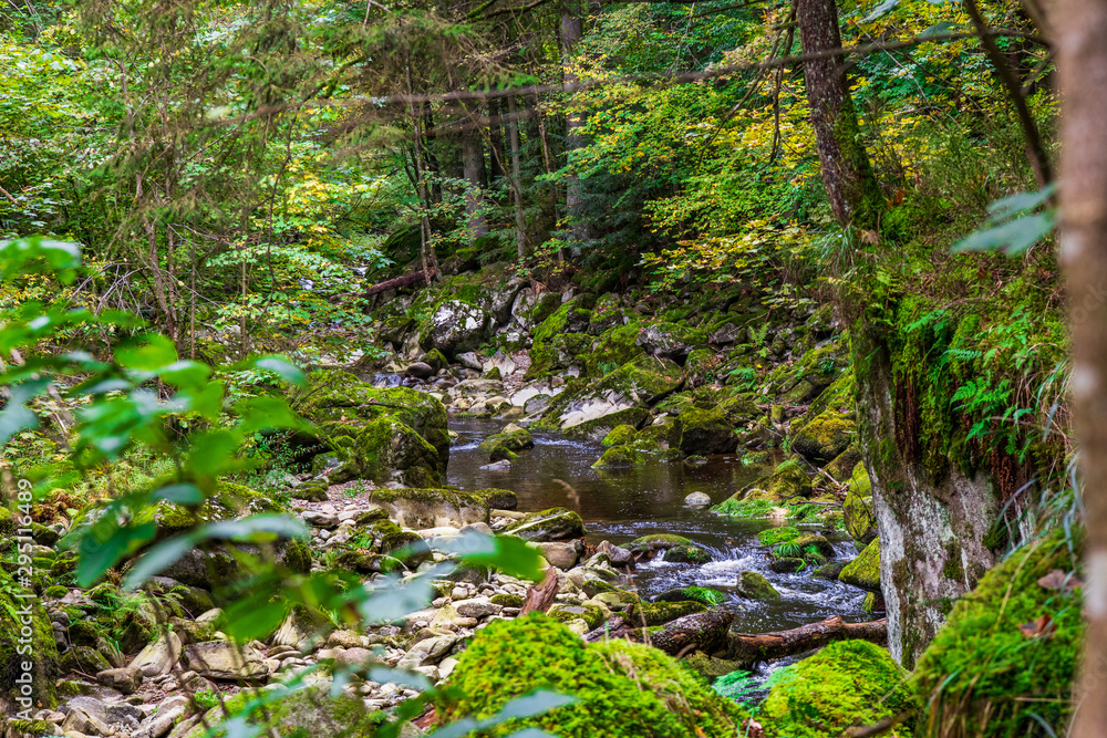 Wildbachklamm Buchberger Leite | Bayerischer Wald Wildbachklamm Buchberger Leite | Bayerischer Wald