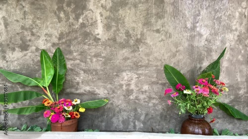 Beautiful colorful flowers in a pot and waterfall background