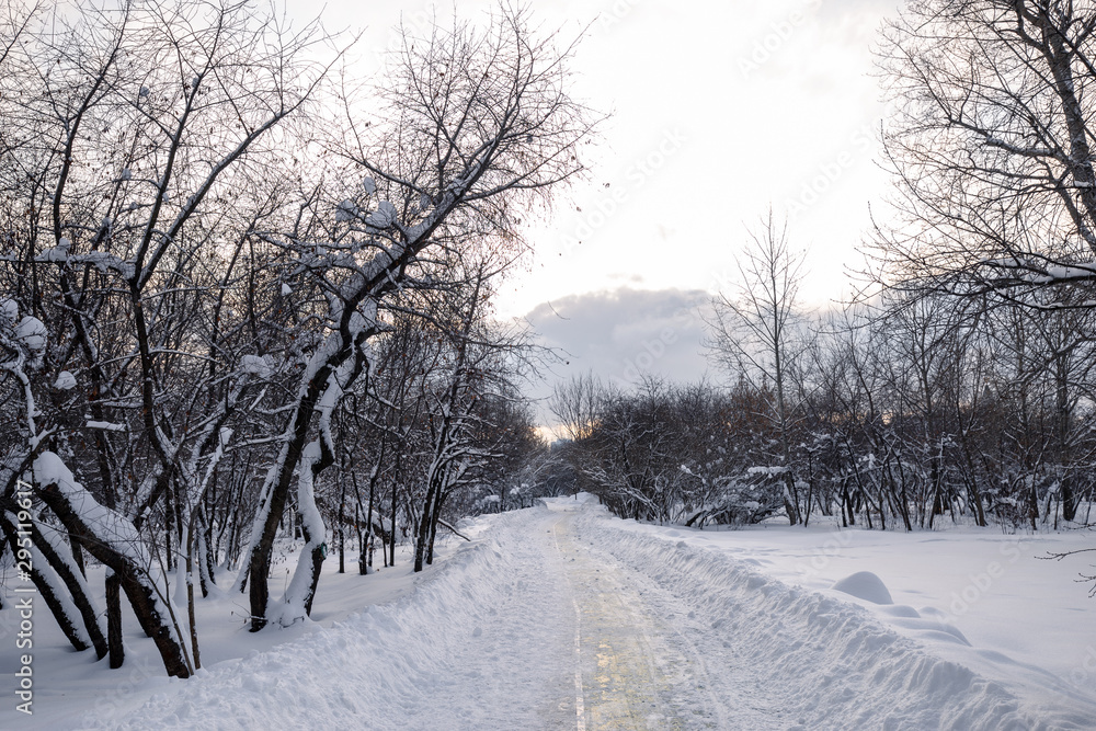 Obraz premium Winter landscape