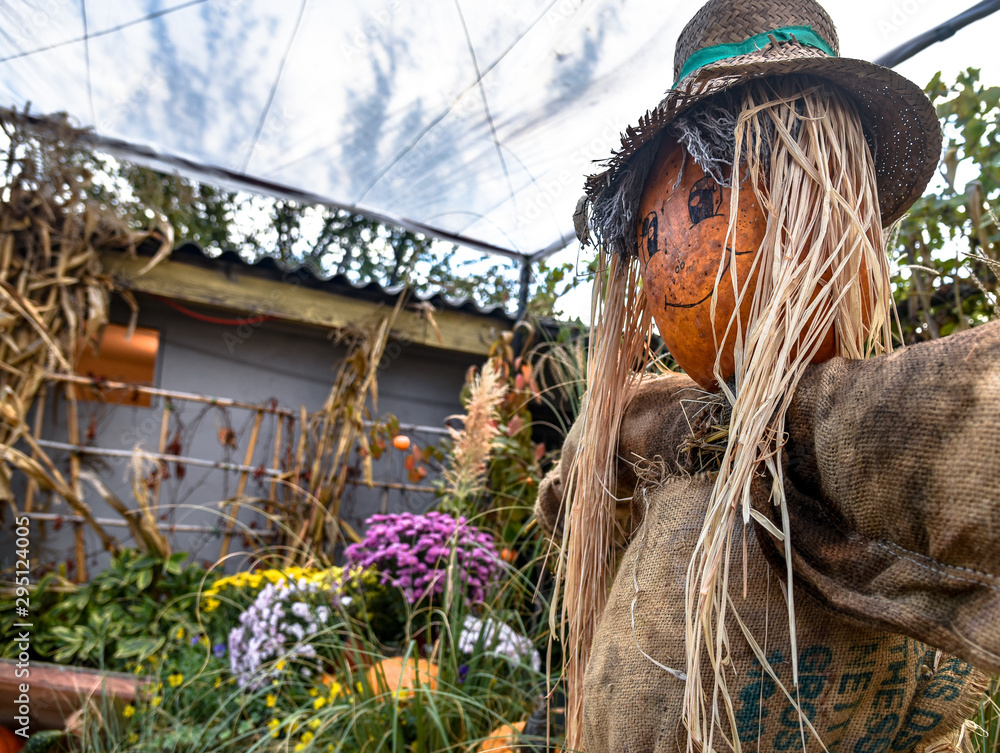 scarecrow in garden