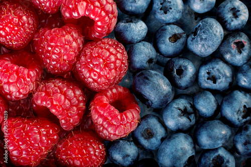 Volume Fresh organic fruits,big macro raspberries and blueberries  in lines next to each other - fruit background collection