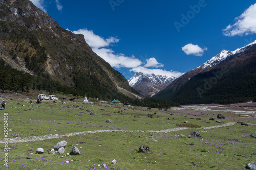 Yumthang Valley,Sikkim,India