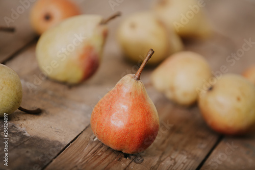 Several ripe pears lie on boards