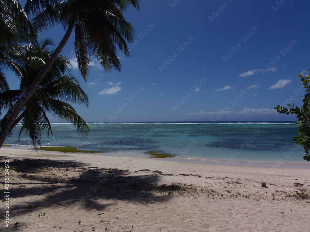 Paysage de Guadeloupe Marie Galante Plage de la feuillère à Capesterre de Marie Galante Paysage de Guadeloupe Marie Galante Plage de la feuillère à Capesterre de Marie Galante