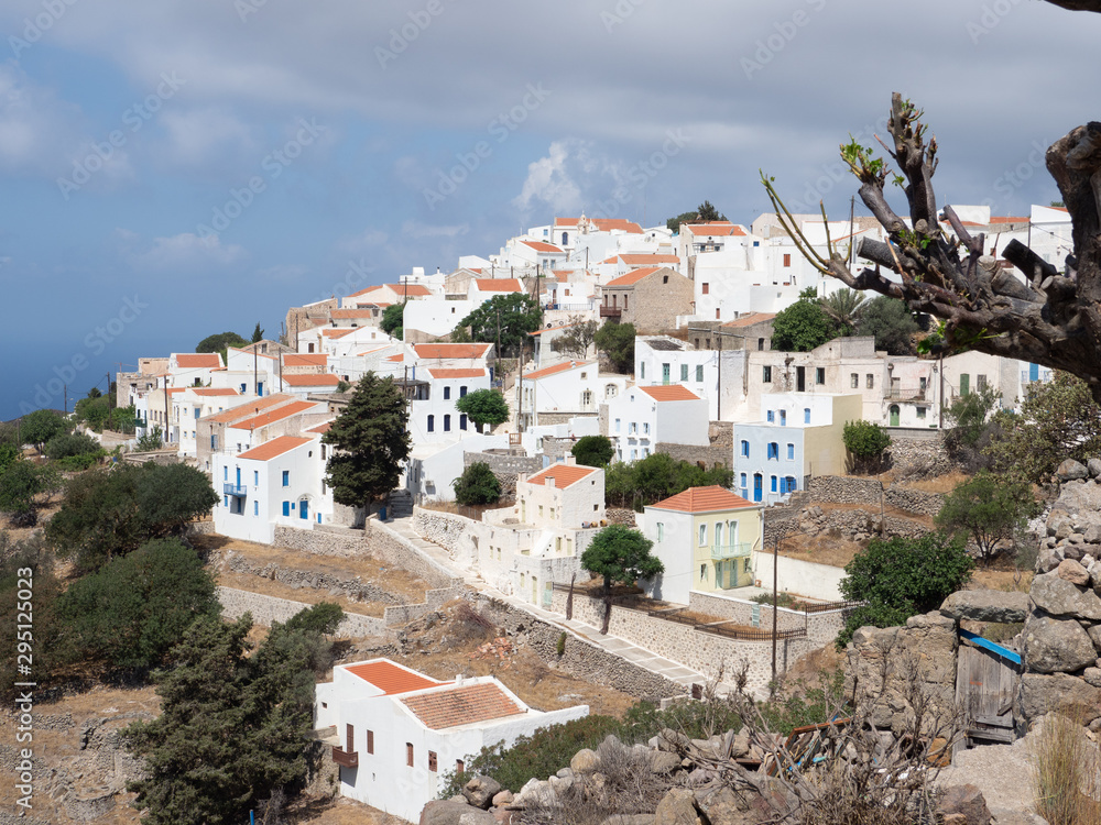 Obraz premium OLYMPUS DIGITAL CAMERA