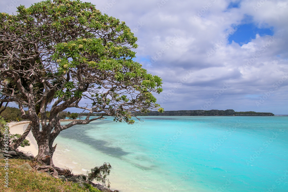 Lekiny Bay on Ouvea Island, New Caledonia.
