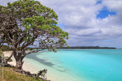 Fototapeta Naklejka Na Ścianę i Meble -  Lekiny Bay on Ouvea Island, New Caledonia.