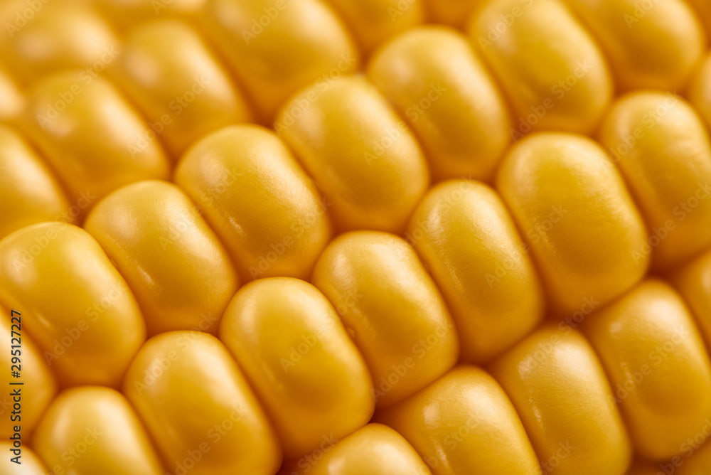 Grains of ripe corn beetween green leafes, closeup Grains of ripe corn beetween green leafes, closeup