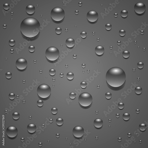 Dew drops isolated on grey background. Vector