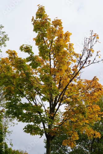 Fotografie equinox fall harvest season autumnal equinox Indian summer back end harvesting