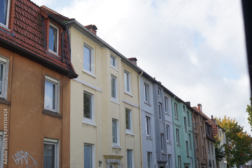 Naklejka premium Nordpark Bielefeld Dahlien